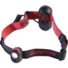 Vango Flux Head Torch
